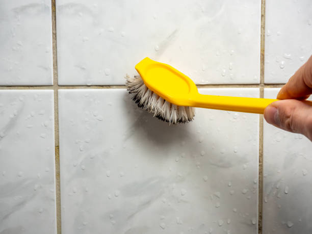 Best Office Mold Removal Services  in Hope, IN