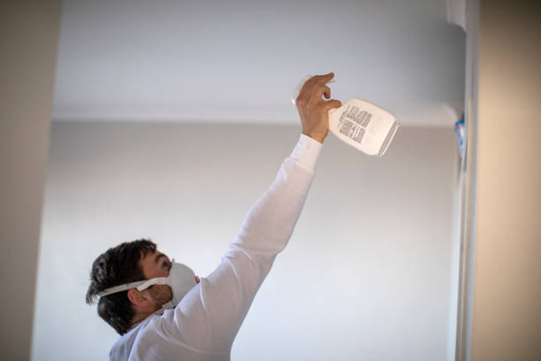 Best Mold Removal Near Me  in Hope, IN