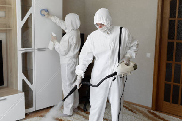 Best Mold Removal Process  in Hope, IN