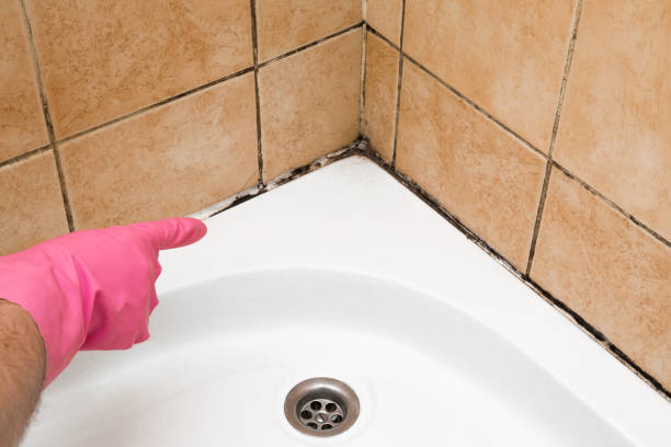 Best Mold Testing  in Hope, IN